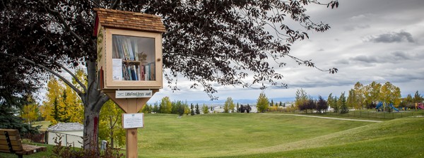 Little Free Library Calgary